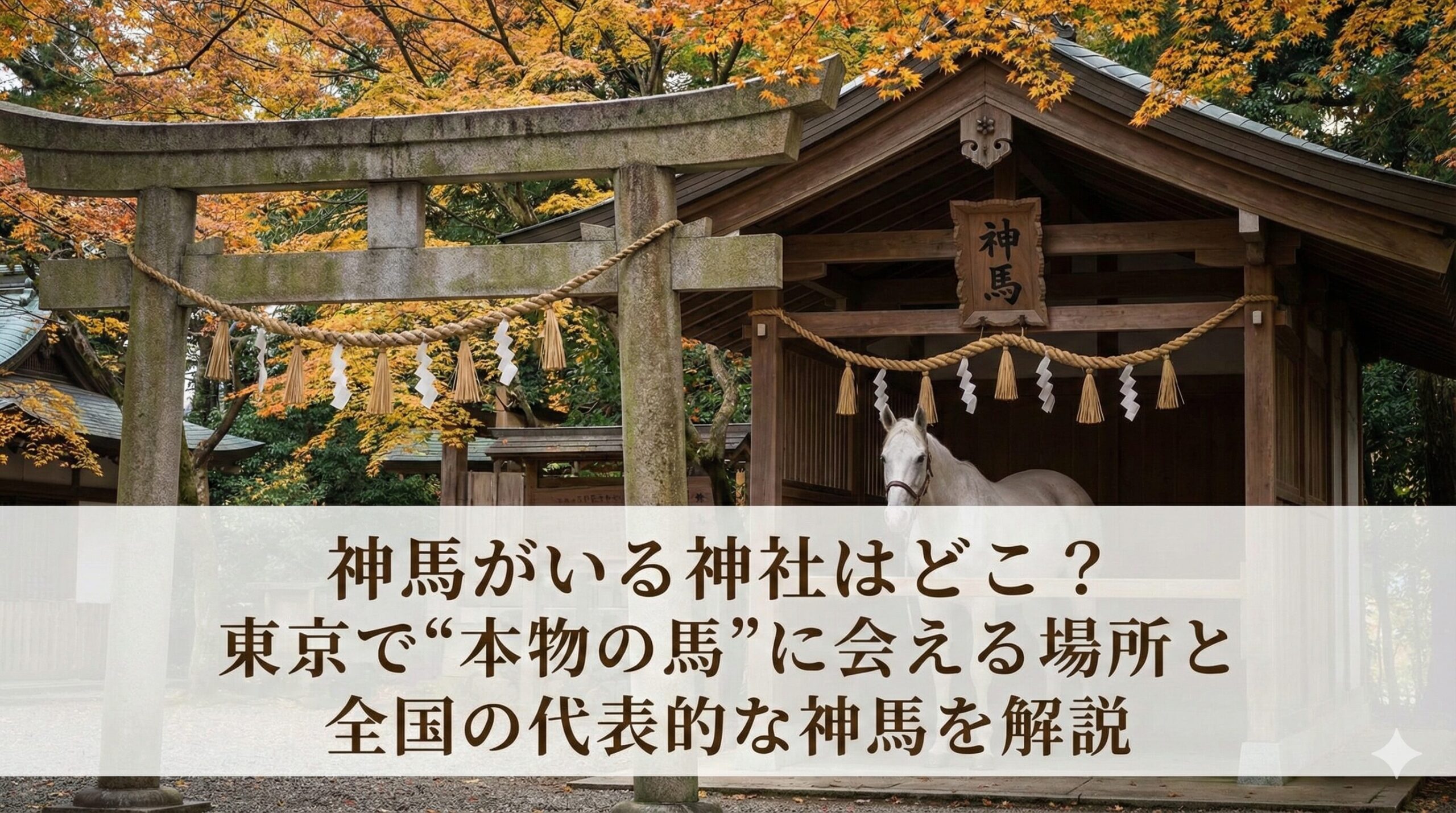 神馬がいる神社はどこ？東京で“本物の馬”に会える場所と全国の代表的な神馬を解説